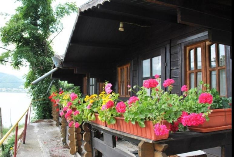 Gratca Nr 164 Orsova Villa Exterior photo