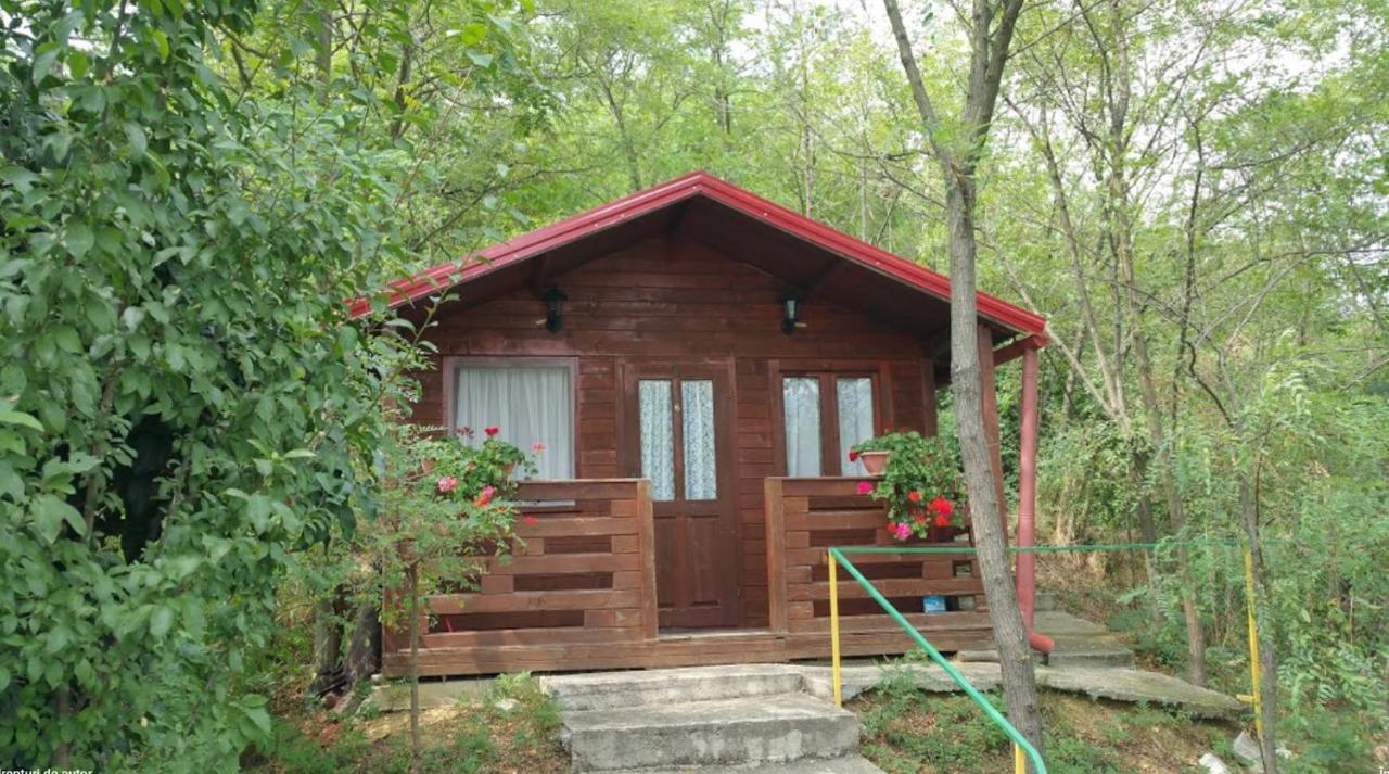 Gratca Nr 164 Orsova Villa Exterior photo