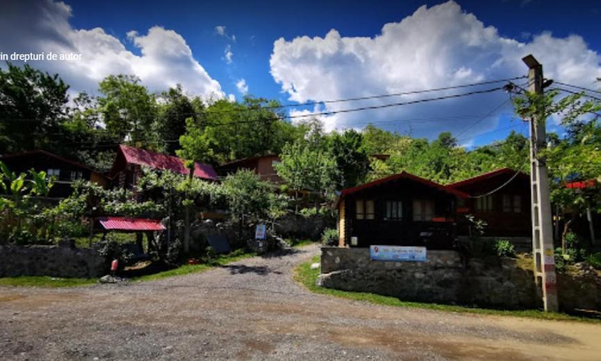 Gratca Nr 164 Orsova Villa Exterior photo